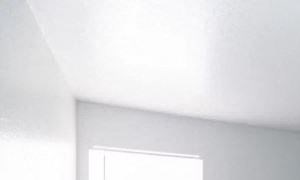 Bedroom with Carpet, Large Windows, and Large Walk in Closet